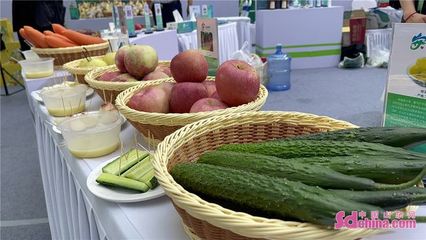 携手“葱娃”与“姜娃”，品味安丘出口农产品的世界之旅