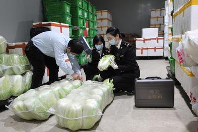 一季度增城海关农产品出口势头强劲，远洋蔬菜批次达去年六成