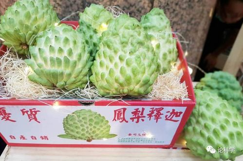 区域聚焦 1月19日亚太动态简报
