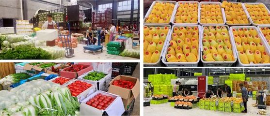 宜宾高速南出口附近，好多人排起长队！原因竟是……农产品出口