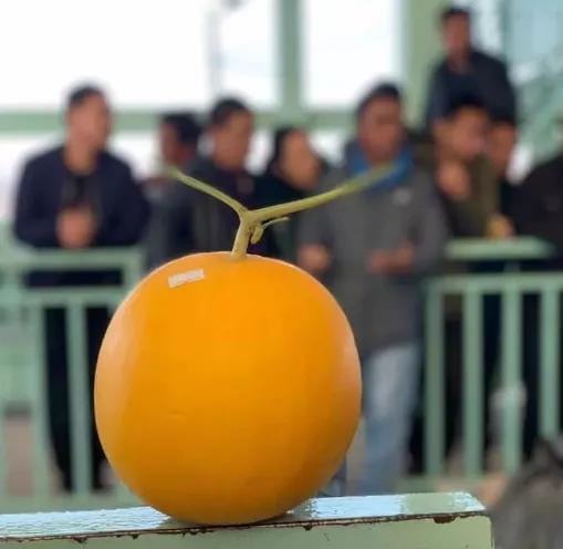 缅北木姐边境农产品价格喜人，但出口商为何愁眉不展？