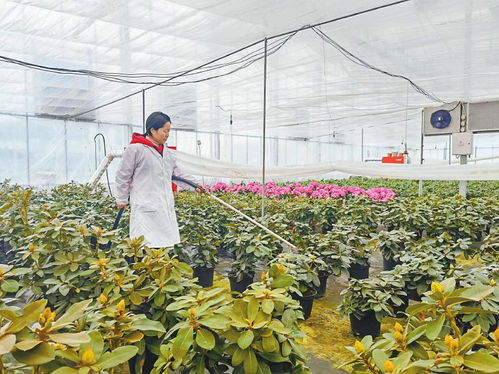 四川加速发展现代林草业园区 力争2025年建成省级以上园区40个，推动农产品出口升级