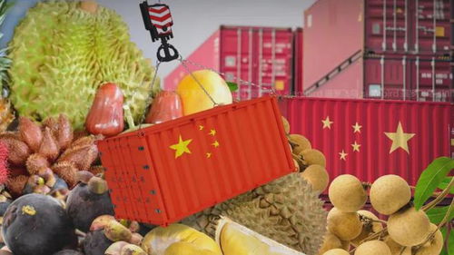 泰国积极推动农产品对华出口，拓展上海市场新机遇