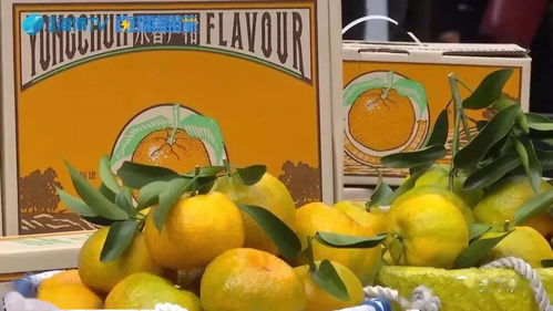 福建省首个出口创汇超亿美元的农产品 全网观看量超131.6万，彰显农业新活力